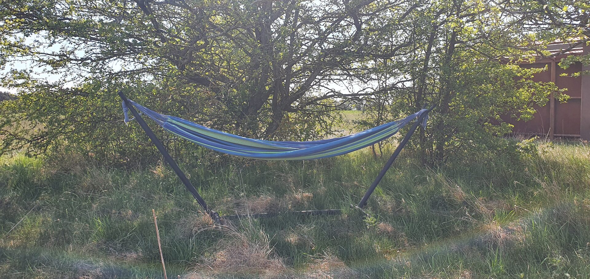 Hammock under the trees