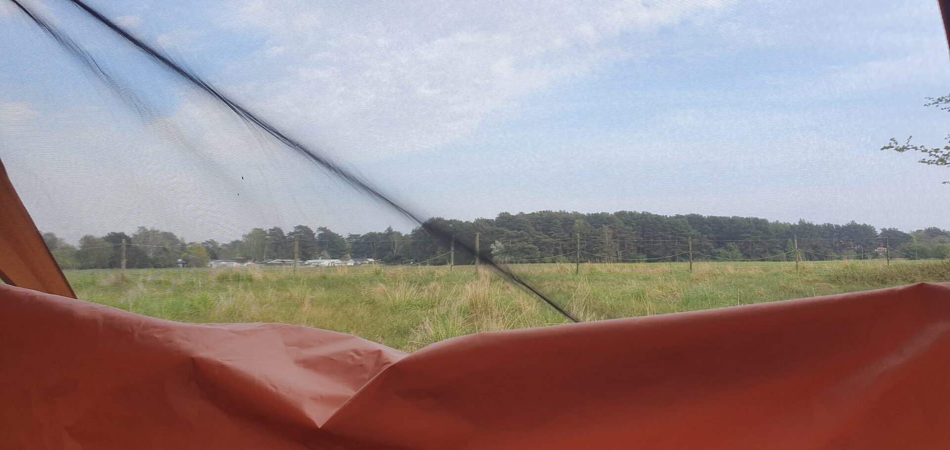 View from inside the tent