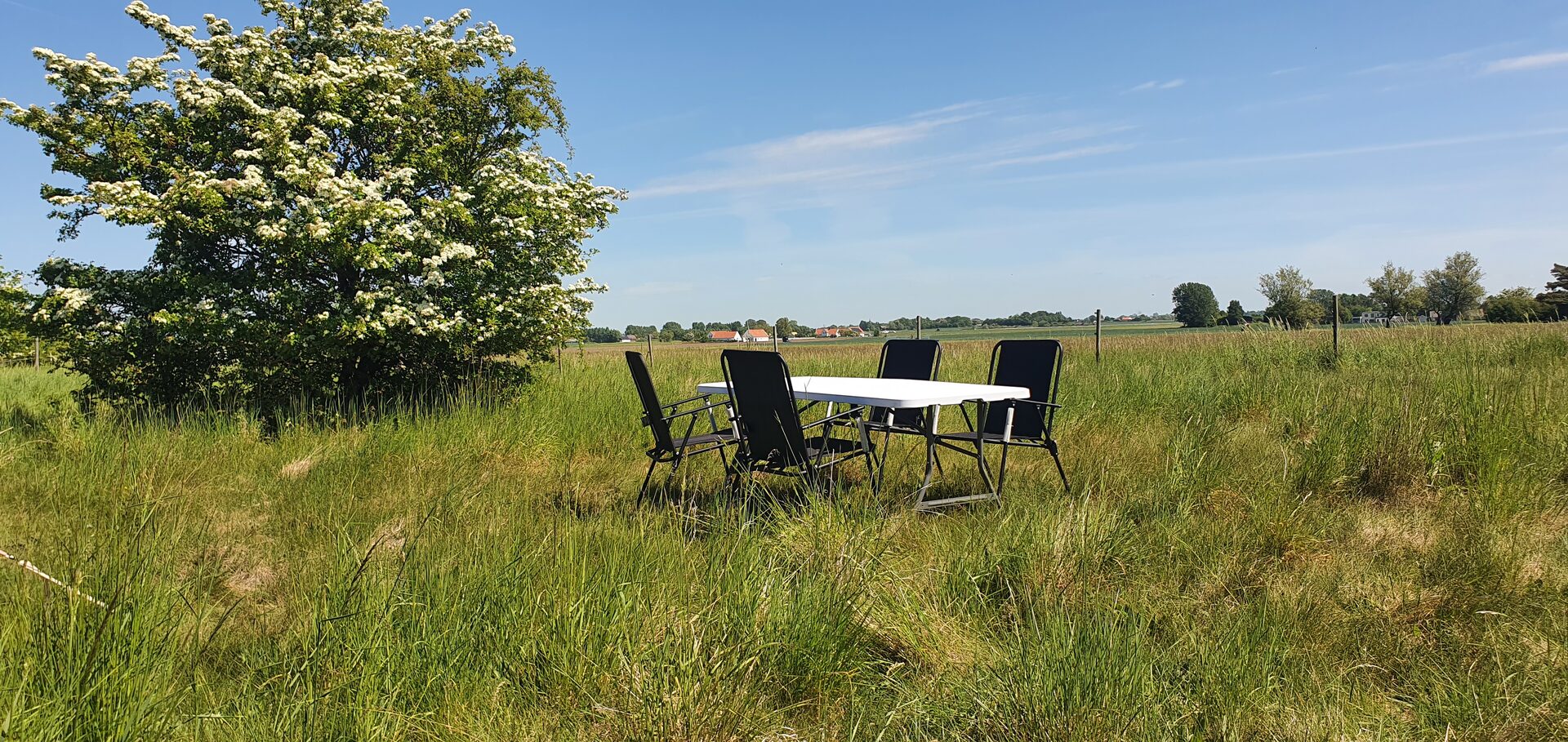 Outdoor dining table